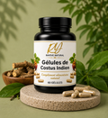 Gélule de Costus Indien